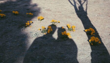 Paid companionship and emotional support