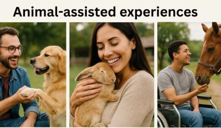 Animal-Assisted Experiences Animal-Assisted Experiences