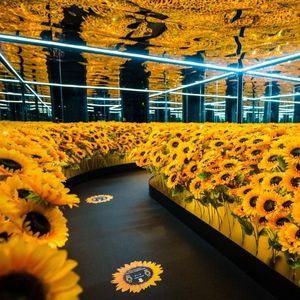 Multi-Sensory Van Gogh Experience