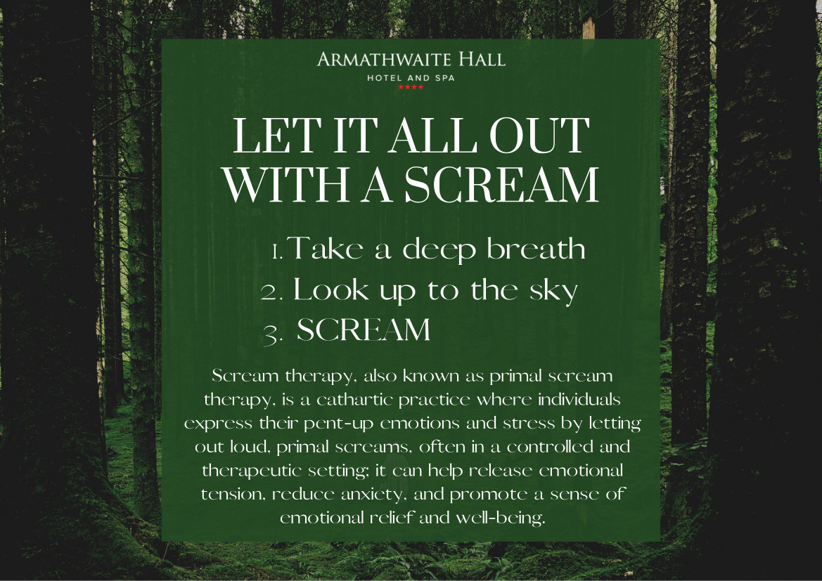 Scream therapy retreat – half day package