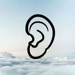 Your listener
