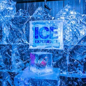 The Ice Experience