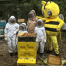 bee-experience-shop_q9wd9_709780901