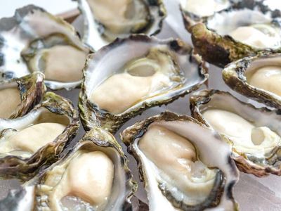 Oyster tasting