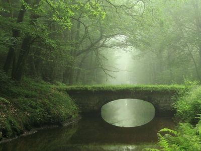 Spend an hour alone in a magic place
