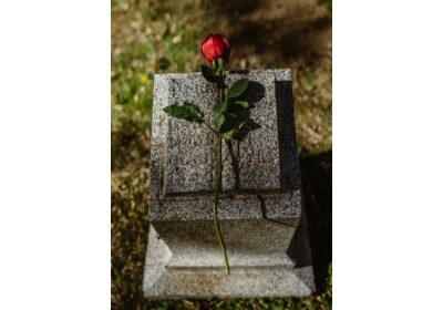 help-you-make-a-decision-3_brdcs_1397482092