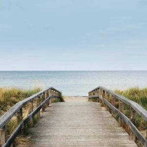 Compassion focused therapy