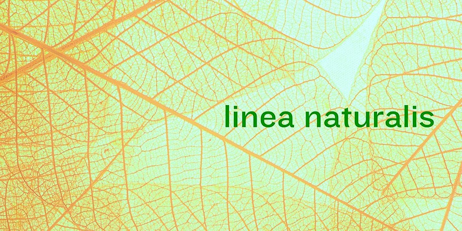 Helen Anahita Wilson: linea naturalis (we are all bioelectrical beings)