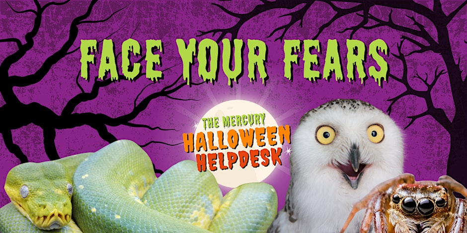 Fight Your Fears With Exotic Explorers